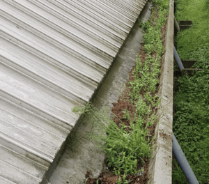 Happy customers in Potters Bar who trust The Roof Moss Cleaners for gutter cleaning services